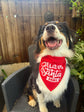 Dog wearing a red Christmas pet bandana with Believe in Santa Paws design