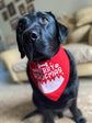 Festive Christmas pet bandana available in a choice of seasonal designs