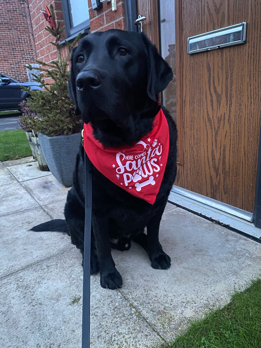 Christmas pet bandana with festive design, one size dog bandana from Pawsitively Purrfect