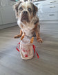 Our Christmas reindeer bag filled with pet treats