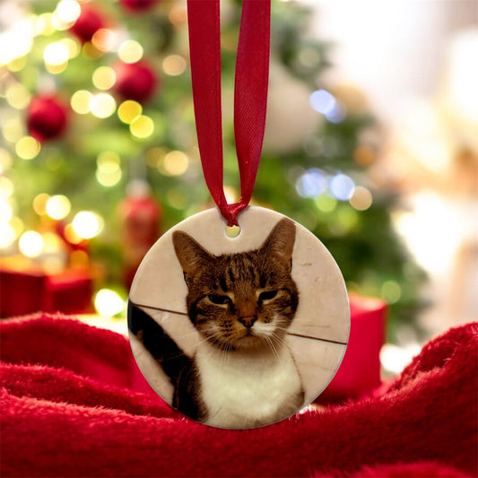 Personalised Christmas pet bauble with custom pet image