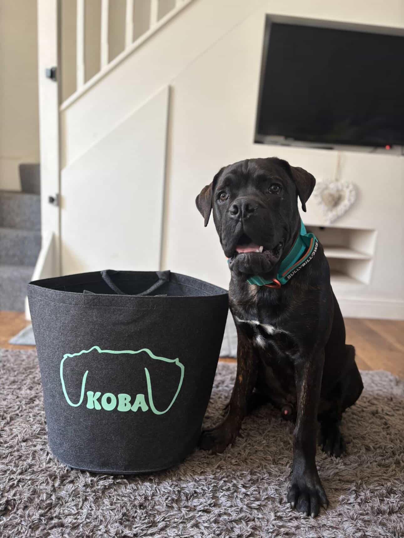 Custom pet toy bag personalised with dog's name