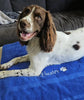 Embroidered personalised pet towel with name and paw print