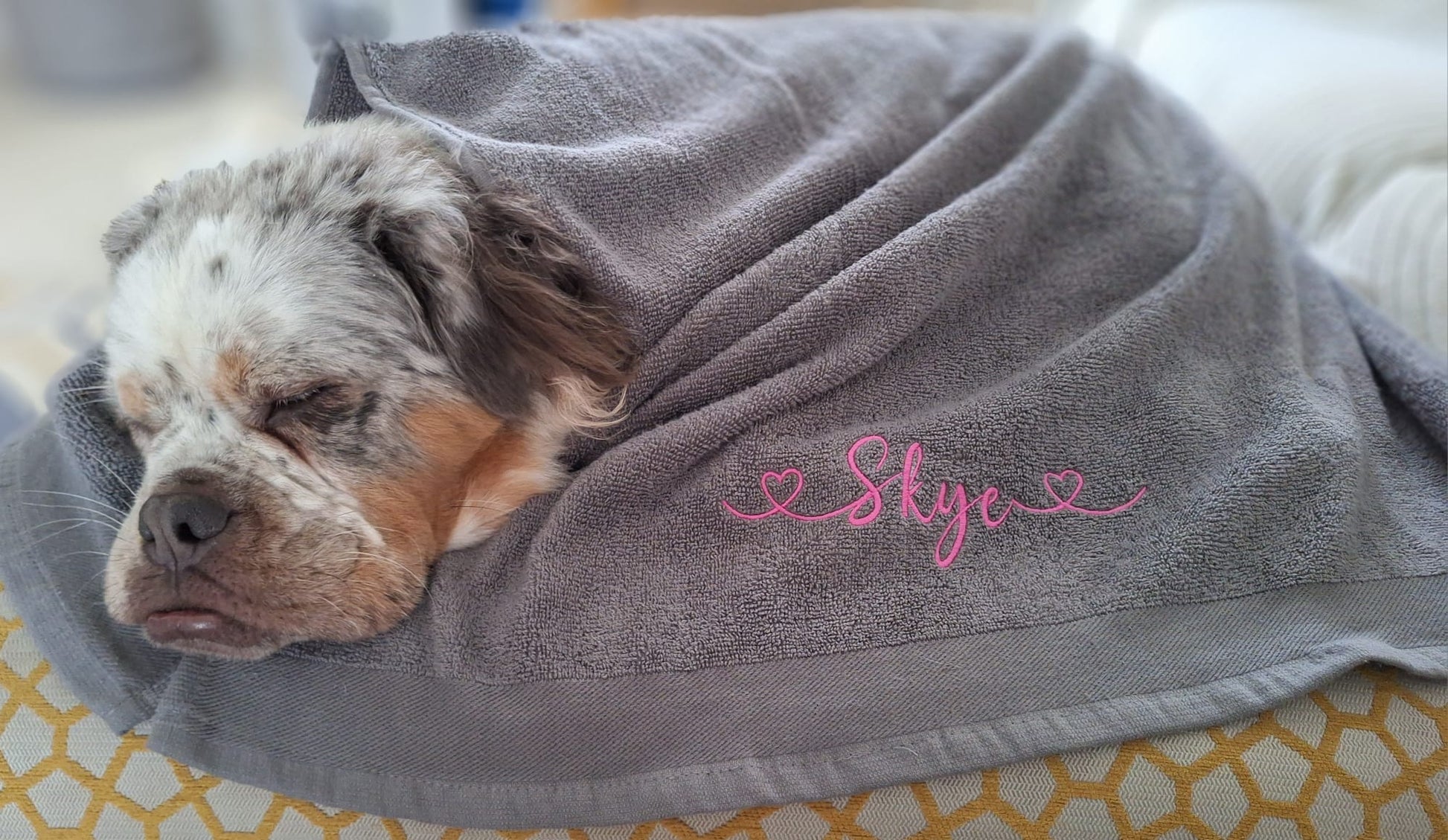 Embroidered personalised pet towels for dogs