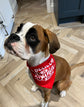 Christmas dog bandana with festive Christmas design, one size fits most dogs