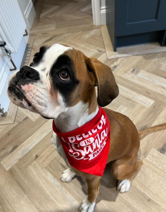 Christmas dog bandana with festive Christmas design, one size fits most dogs