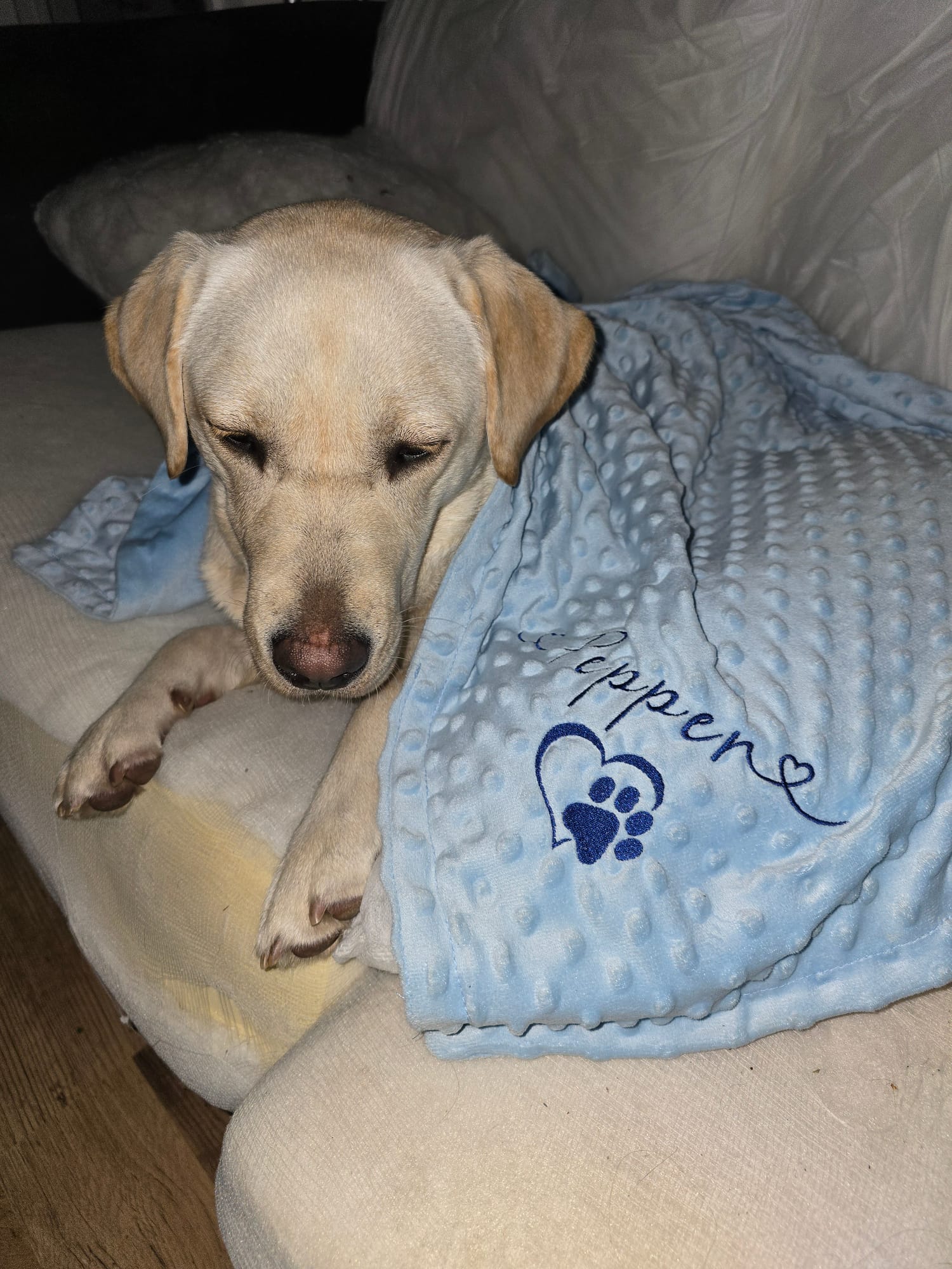Soft personalised pet blanket for dogs and cats