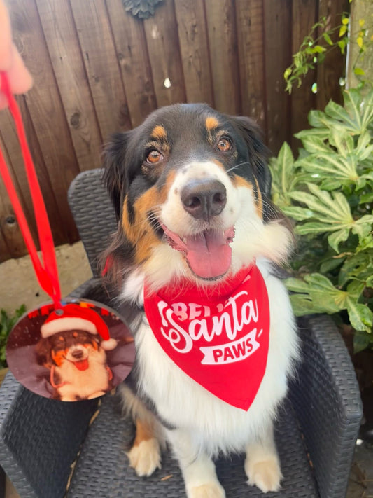 Personalised Christmas pet bauble ornament featuring a dog photo on a Christmas tree