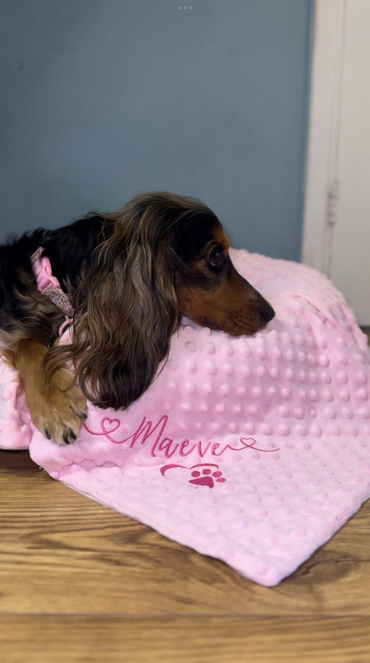 Dog relaxing on a soft pink personalised pet blanket