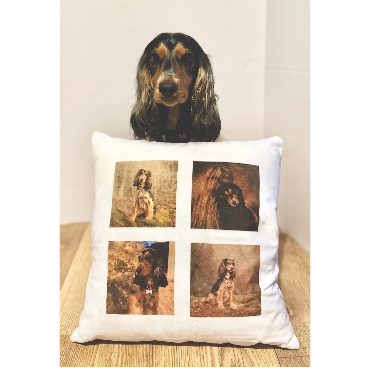 Personalised dog cushion displayed as pet home décor