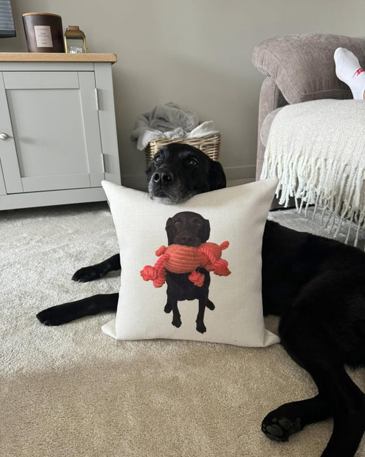 Personalised dog photo cushion with custom pet image and name