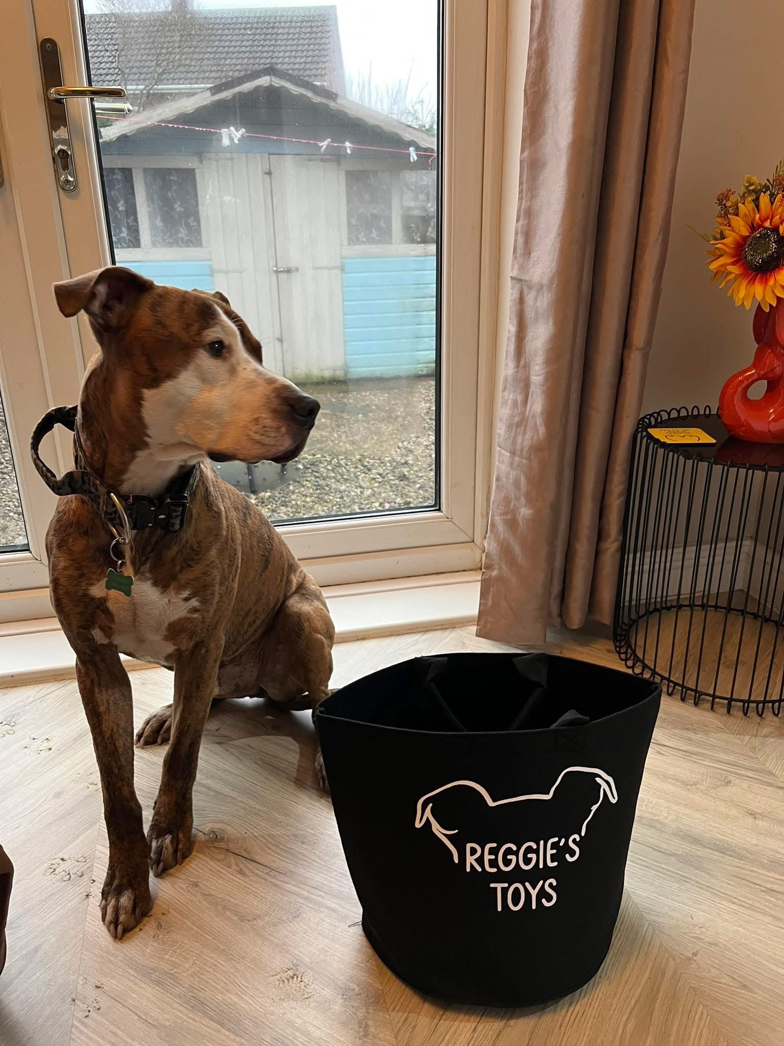 Personalised dog toy storage bag for keeping pet toys organised