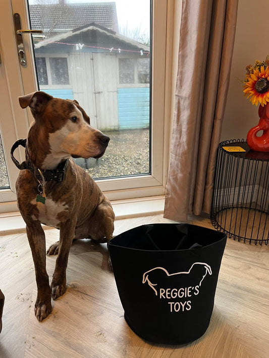 Personalised dog toy storage bag for keeping pet toys organised