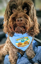 Our personalised dog walker business bandana