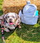 Personalised luxury pet backpack with dog sitting beside it