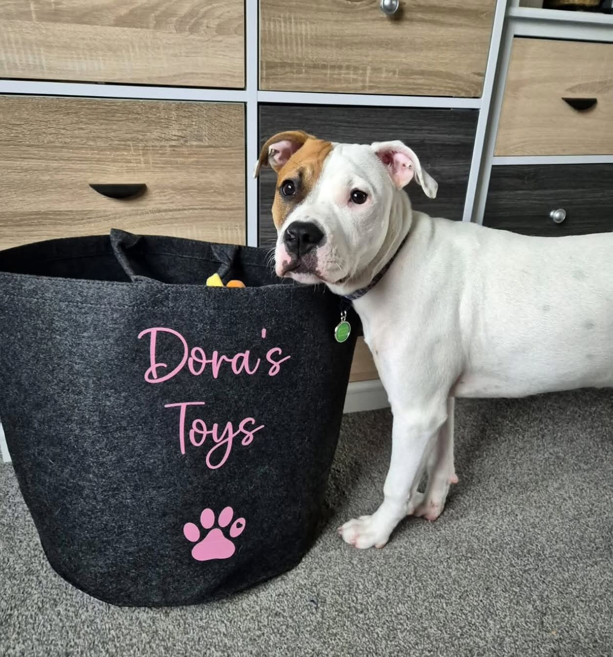 Personalised paw print toy bag with embroidered pet name