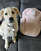 Personalised pet backpack showing custom name and paw print design