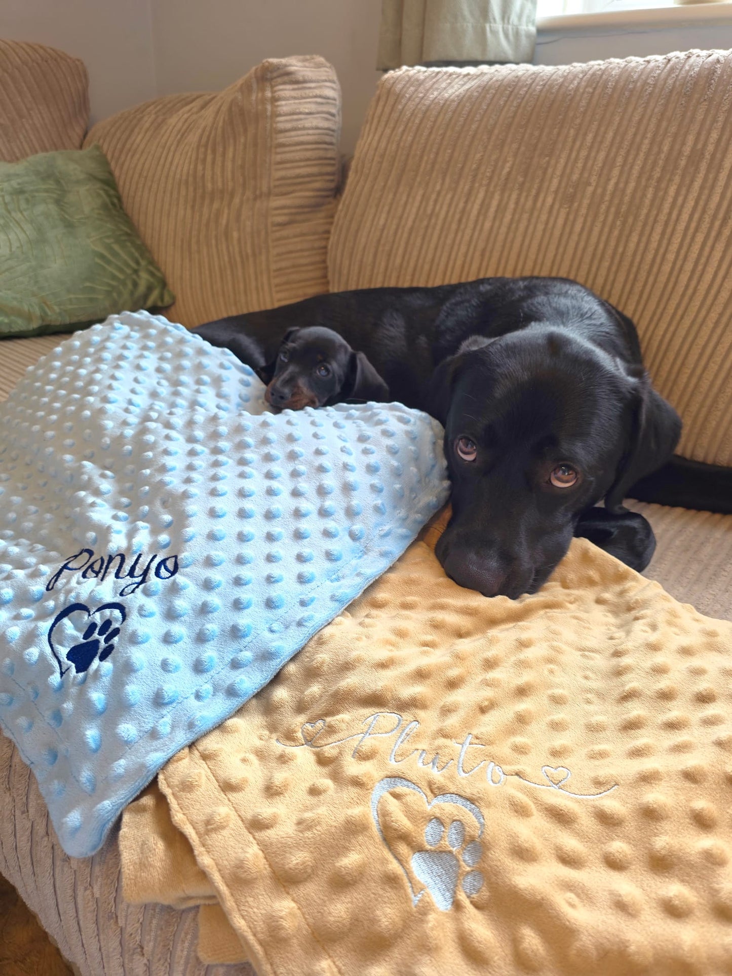 Cosy personalised pet blanket for a dog or cat