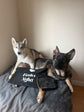Personalised pet document wallet with custom pet name