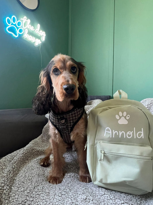 Personalised pet mini backpack with custom name and paw print