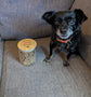 Personalised glass treat jar filled with pet treats for dogs, cats, rabbits, birds, and other small pets.