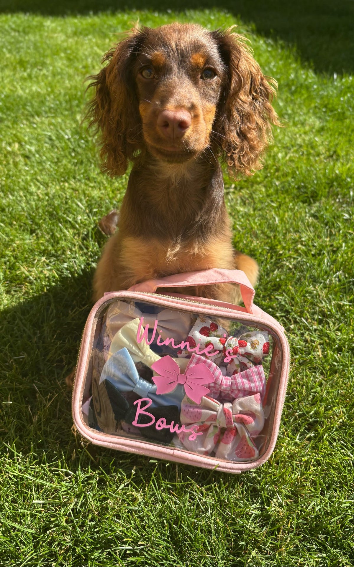 Personalised pet vanity bag with custom name