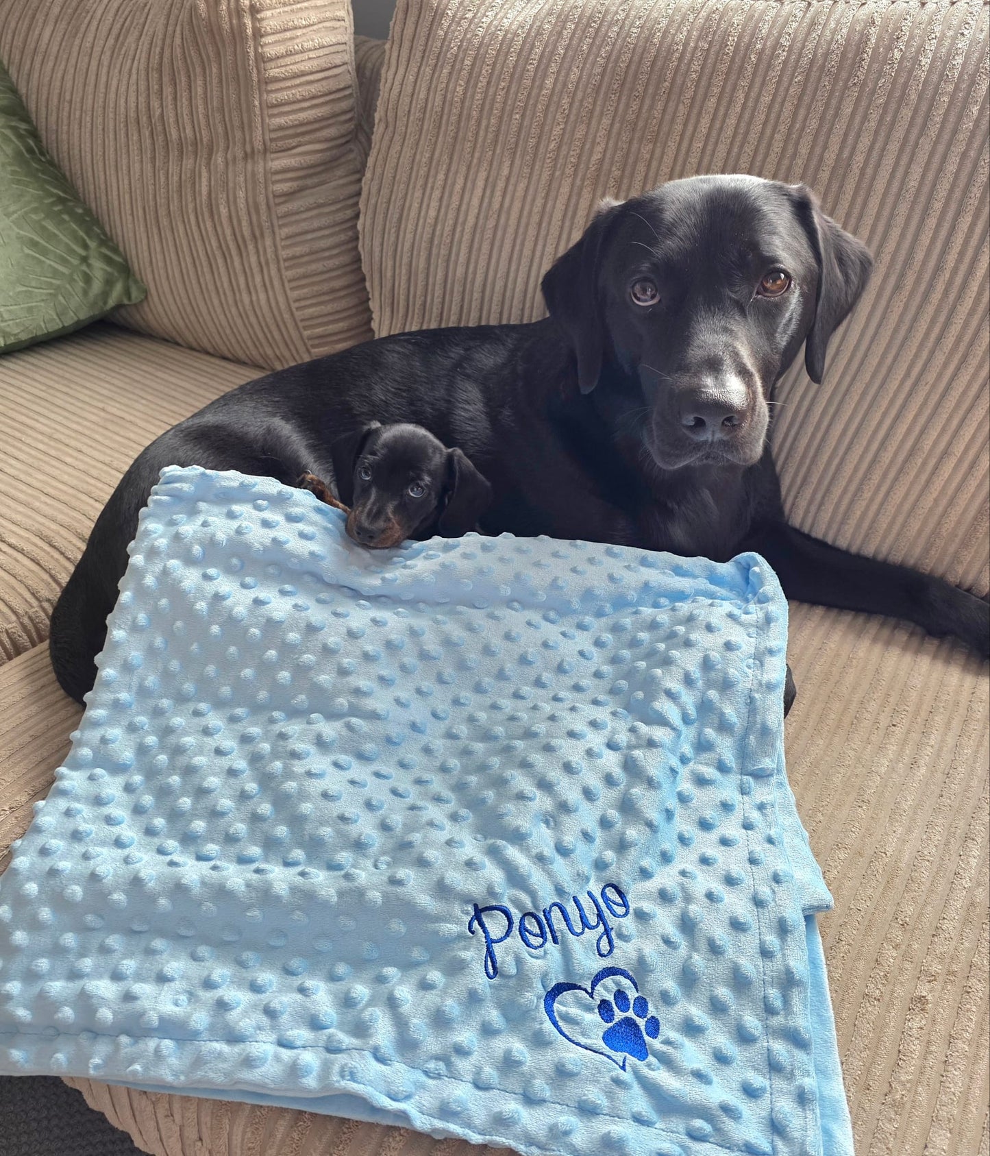Close-up of embroidered name on personalised pet blanket