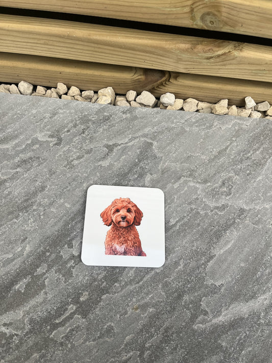 Pet Themed Cork Backed Coasters