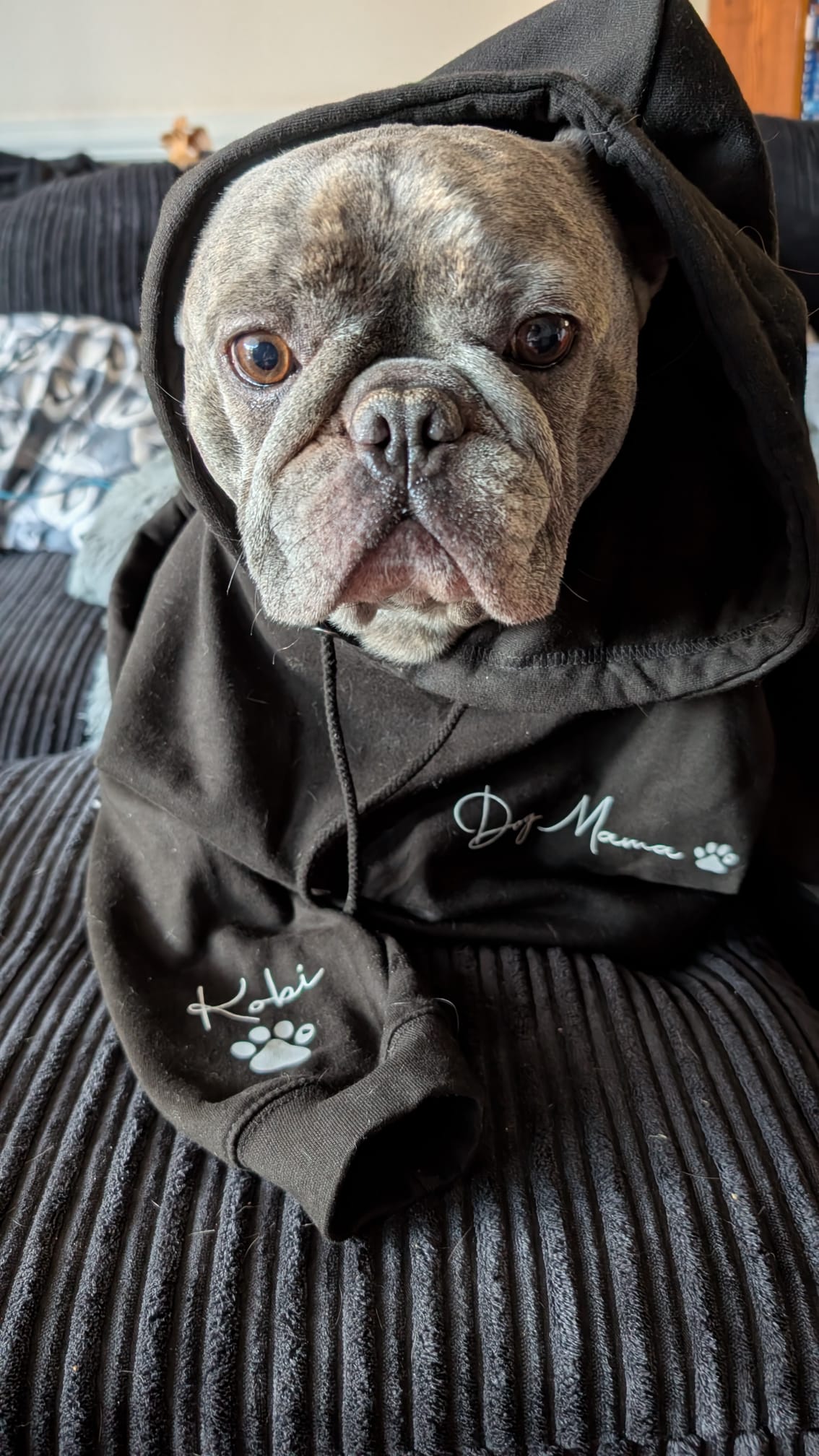Unisex personalised pet hoodie with pet name and paw print